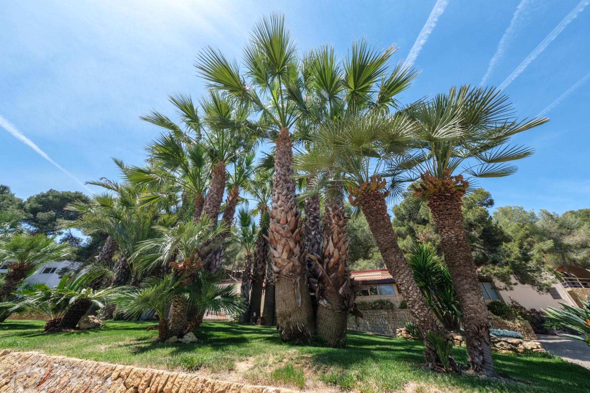 Camping Estival Torre De La Mora Tamarit Eksteriør billede